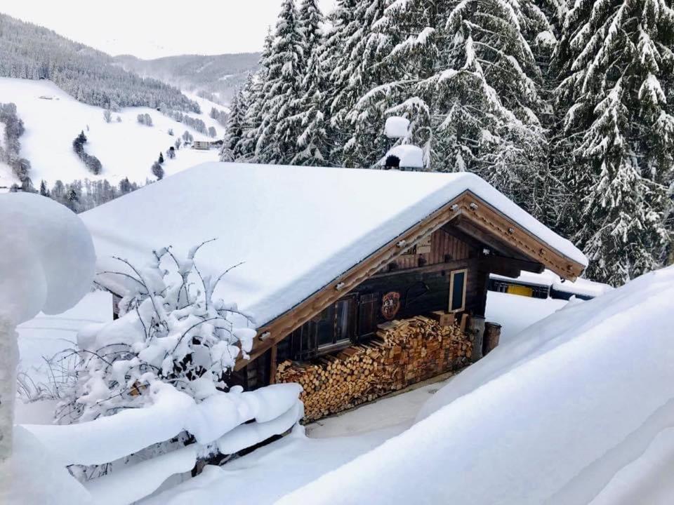 Wasserfallhuette Saalbach المظهر الخارجي الصورة