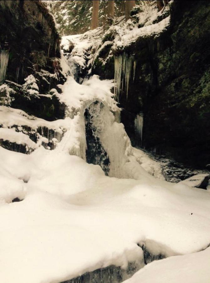Wasserfallhuette Saalbach المظهر الخارجي الصورة